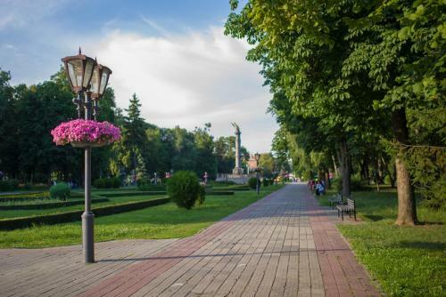 Modern Apartmetns In Town Center