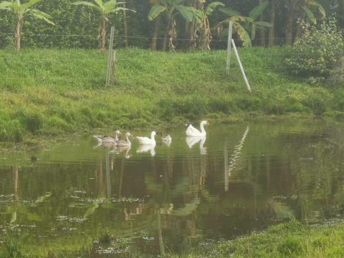 Monteverde Holiday Apartments