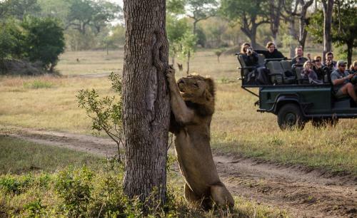 Umkumbe Safari Lodge Riverside