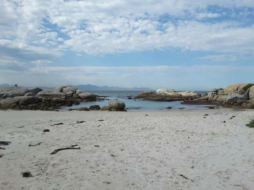 Apartamento Porcupine Walk