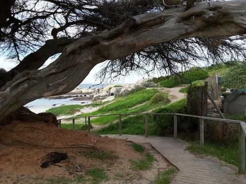 Apartamento Porcupine Walk