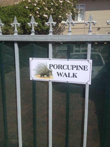 Apartamento Porcupine Walk