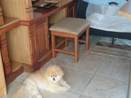 Apartamento Seaview Cottage @ 3145