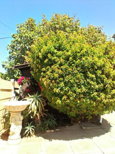 Hostal Seesterkloof