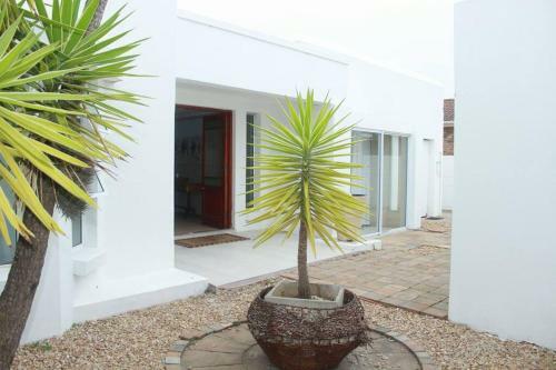 Apartamento White House