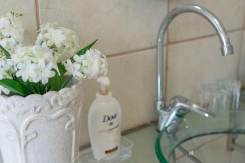 Hostal Blue Star Villa