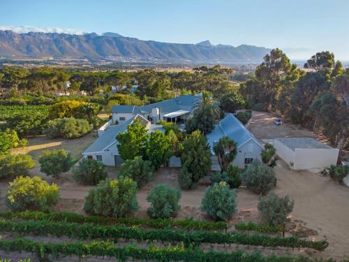 Vineyard Manor At 13 Vines