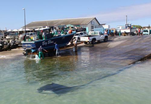 Apartamento Struisbaai Holiday Rentals