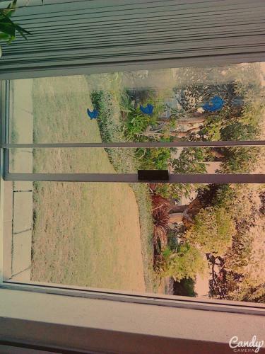 Apartamento Greenways Golf Estate On Sea-golf Beach