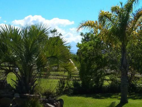 Agroturismo Frog Song Suite