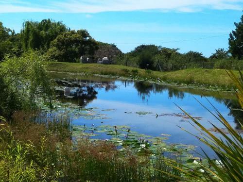 Agroturismo Frog Song Suite