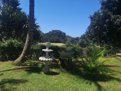 The Tree Of Idleness Guesthouse