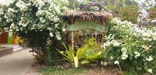 Bed & Breakfast Balai Felicisima