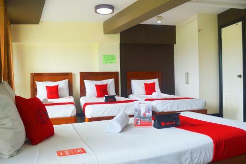 Albergue Palawan Palm Suites