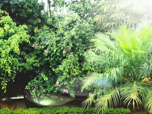 Apartamento Eagle Road Holiday Home