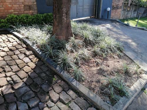 Hostal Kaste Guesthouse Tzaneen