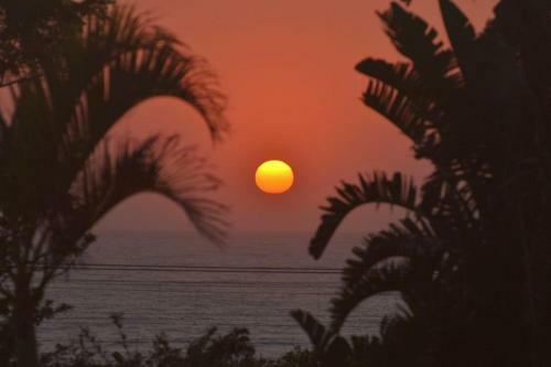 Apartamento The Blue Shark Ocean View Studio
