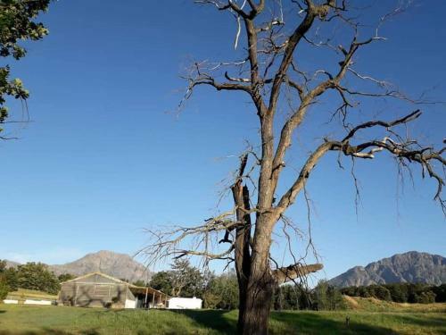Klipfontein Rustic Farm & Camping