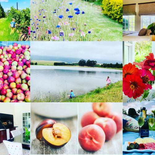 L'bloom Country House