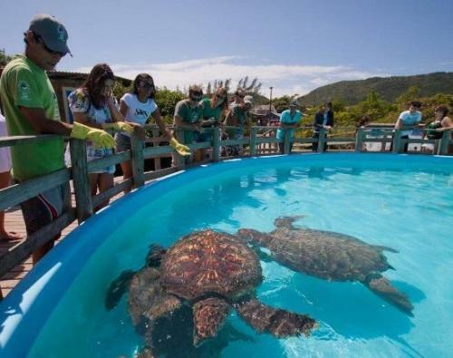 10 Passos Da Areia Barra Da Lagoa