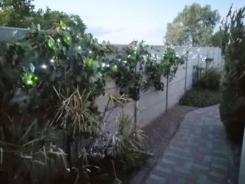 Netan-el Self Catering Accommodation