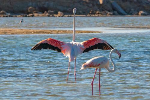 L'ermitage Quagga Lodge