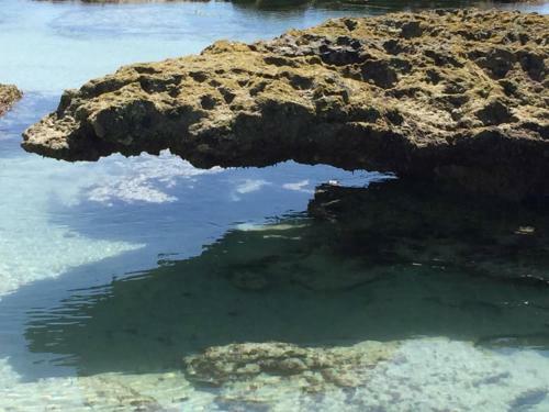 Seabreeze