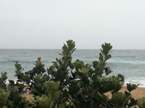 Apartamento North Beach Road