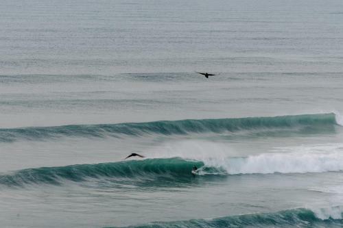 Apartamento Surf Studio At Umdloti Resort