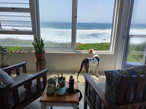Blue Beach House Umdloti