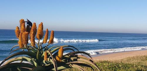 Apartamento 6 Umdloti Cabanas Umdloti Beach