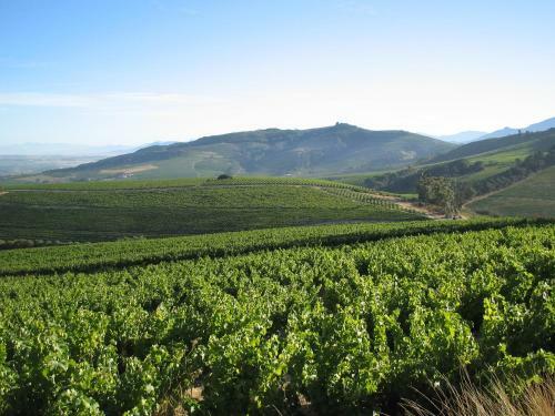 Apartamento Mooiplaas Wine Estate
