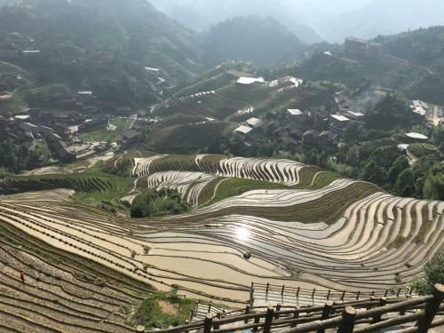 Longji Terrace Lavie Backpacker Hostel