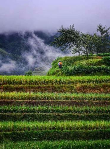 Longji Terrace Lavie Backpacker Hostel
