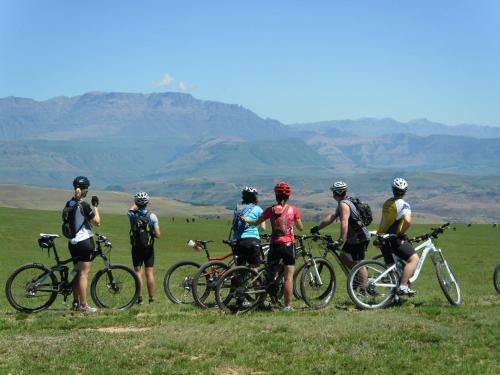 Mountain Splendour Eco Resort