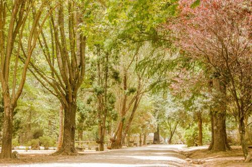 Mountain Splendour Eco Resort
