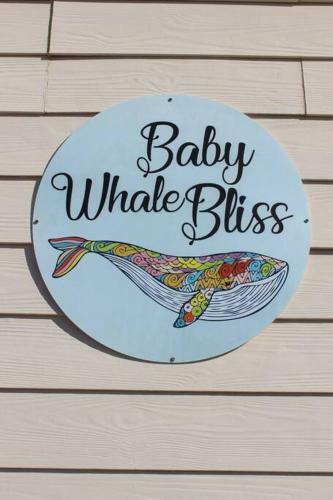 Baby Whale Bliss - Beachfront House