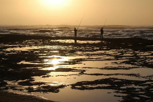 Kaiha (witsand, Western Cape)