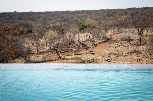 Villa Tholo Manzi Private Game Farm