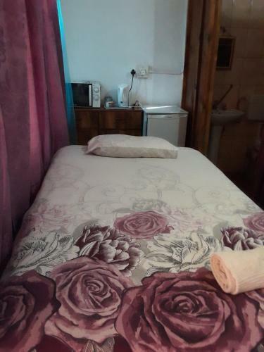 Hostal Africa Unplugged Guest Lodge