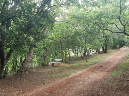 Riverview Bush Escape Muldersdrift