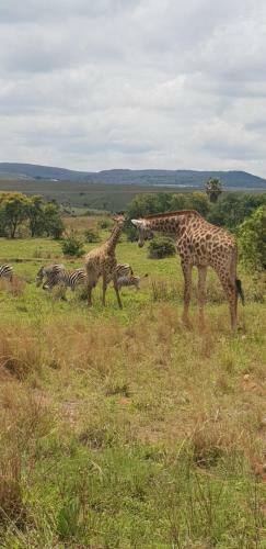 Riverview Bush Escape Muldersdrift