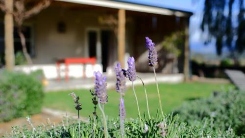 Apartamento Kuruma Farm Cottages