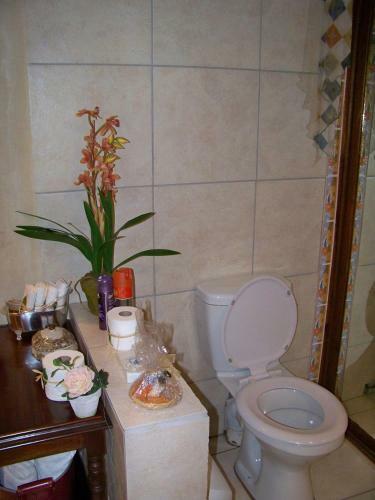 Hostal Linga Longa Guest House