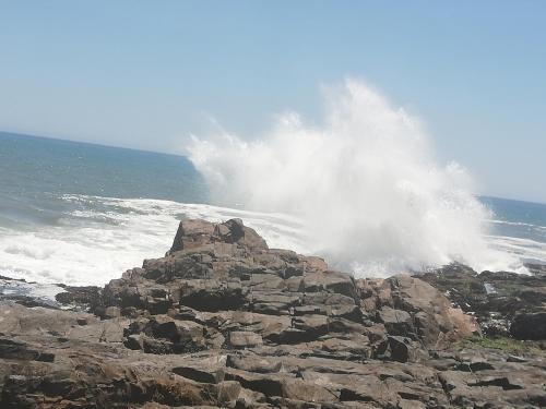 Apartamento Cottage On Atlantic90