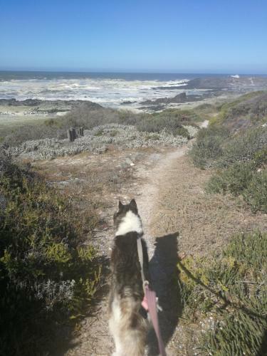 Apartamento Nautilus Yzerfontein Self Catering Accommodation On Ground Level