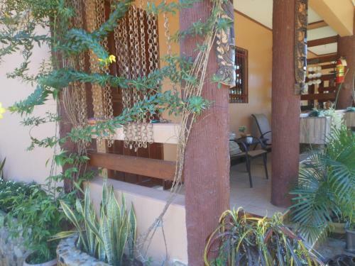 Hostal Jungle Flower Guest House