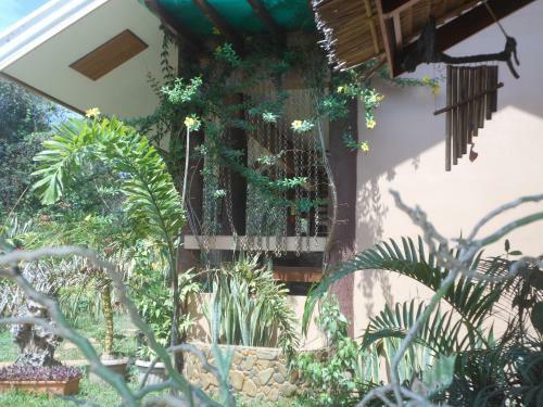 Hostal Jungle Flower Guest House
