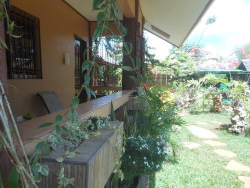 Hostal Jungle Flower Guest House