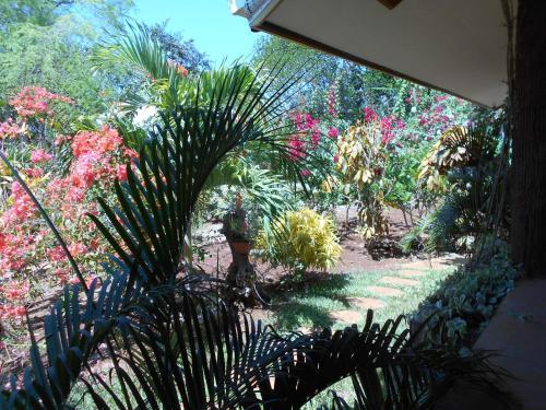 Hostal Jungle Flower Guest House